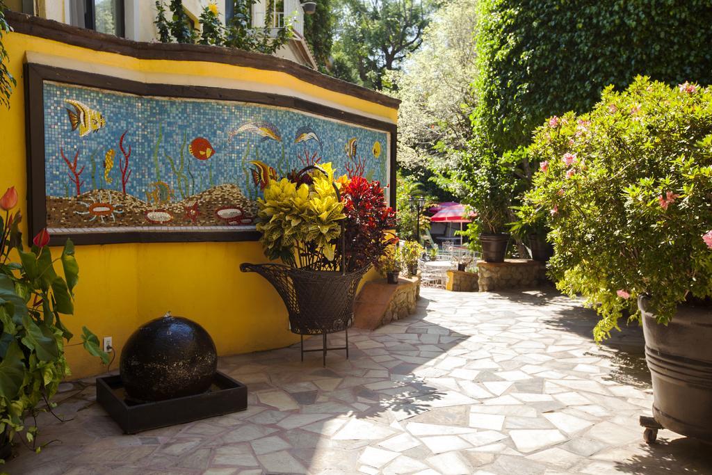 Hotel Quinta Del Gobernador Cuernavaca Zewnętrze zdjęcie