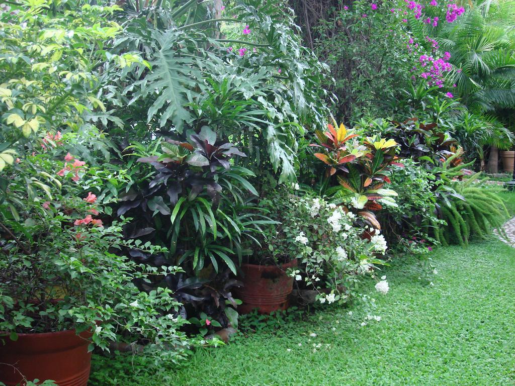 Hotel Quinta Del Gobernador Cuernavaca Zewnętrze zdjęcie